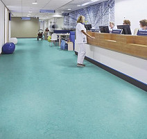Forbo Marmoleum Decibel on Order 326735 aqua фото 2 | FLOORDEALER